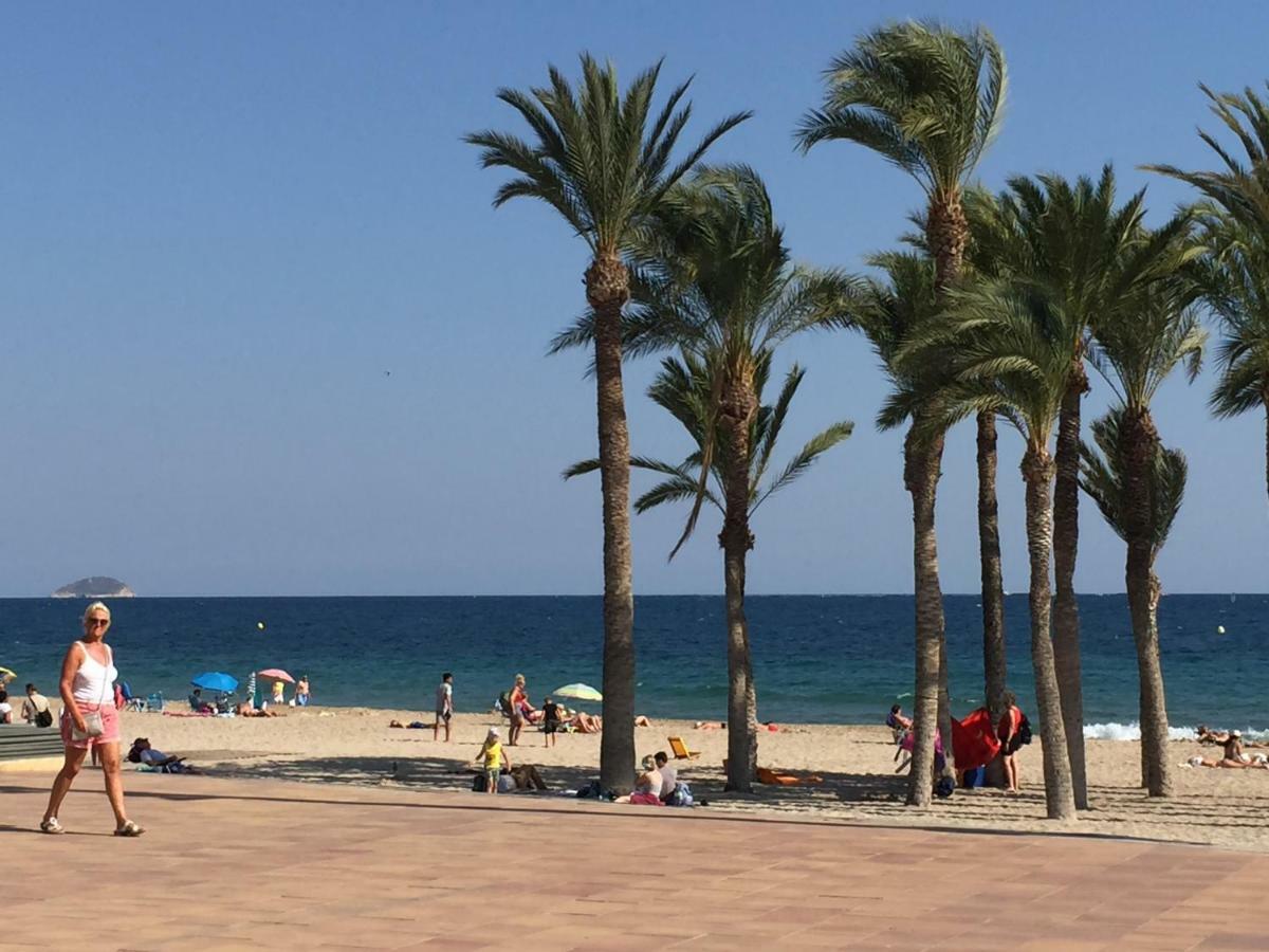 Splendide F4 Alicante